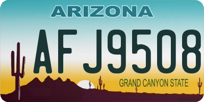 AZ license plate AFJ9508