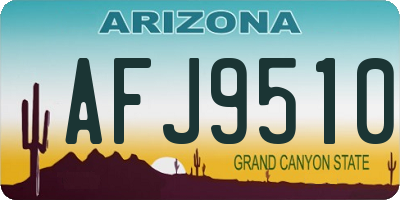 AZ license plate AFJ9510