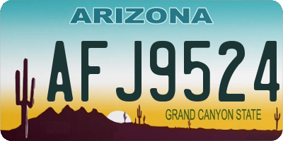 AZ license plate AFJ9524