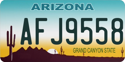 AZ license plate AFJ9558
