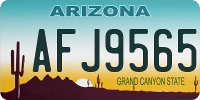 AZ license plate AFJ9565
