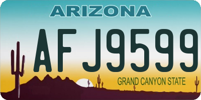 AZ license plate AFJ9599
