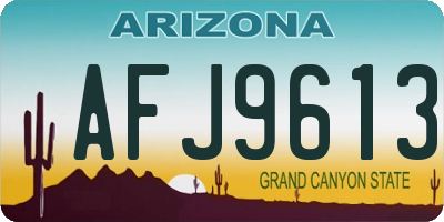AZ license plate AFJ9613