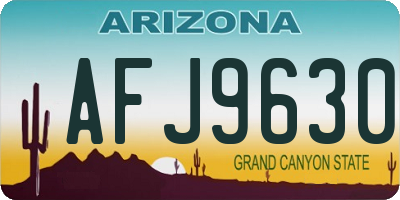 AZ license plate AFJ9630