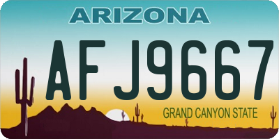 AZ license plate AFJ9667