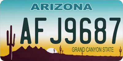 AZ license plate AFJ9687