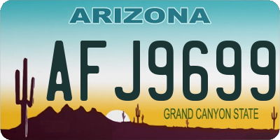 AZ license plate AFJ9699