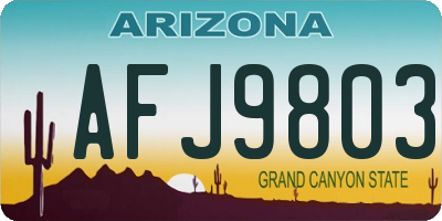 AZ license plate AFJ9803