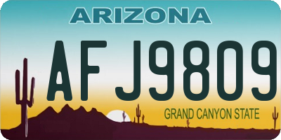AZ license plate AFJ9809