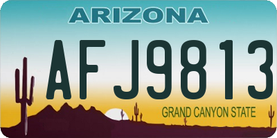 AZ license plate AFJ9813