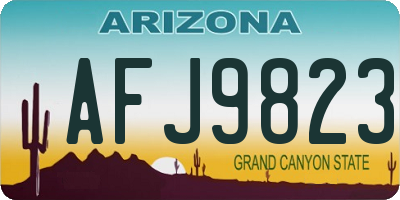 AZ license plate AFJ9823