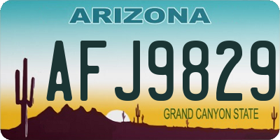 AZ license plate AFJ9829