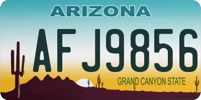 AZ license plate AFJ9856