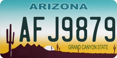 AZ license plate AFJ9879