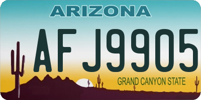 AZ license plate AFJ9905