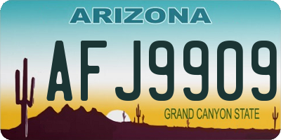 AZ license plate AFJ9909