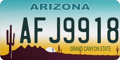 AZ license plate AFJ9918