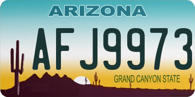 AZ license plate AFJ9973