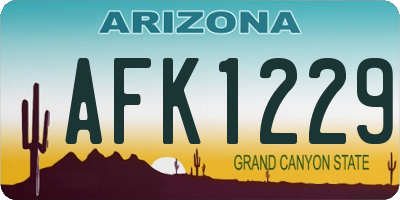 AZ license plate AFK1229