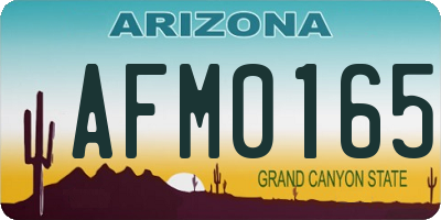 AZ license plate AFM0165