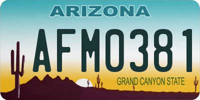 AZ license plate AFM0381