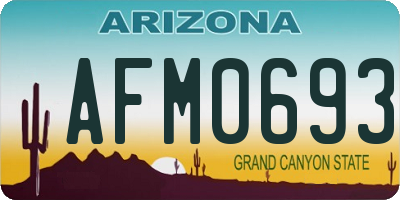 AZ license plate AFM0693