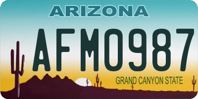 AZ license plate AFM0987