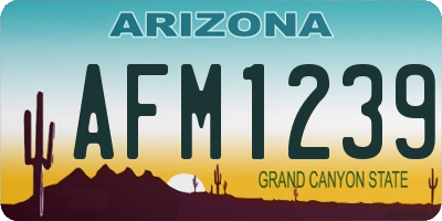 AZ license plate AFM1239
