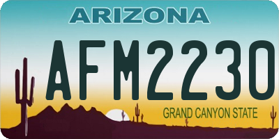 AZ license plate AFM2230