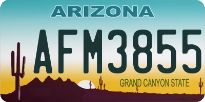 AZ license plate AFM3855
