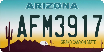 AZ license plate AFM3917