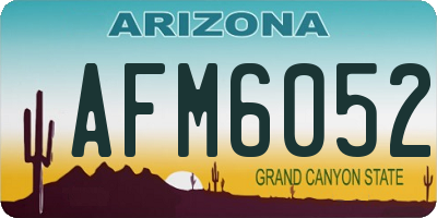 AZ license plate AFM6052