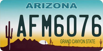 AZ license plate AFM6076
