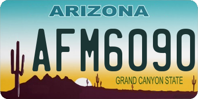 AZ license plate AFM6090