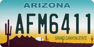 AZ license plate AFM6411