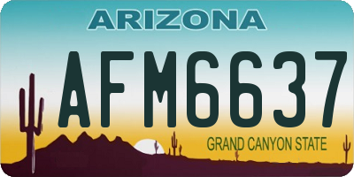 AZ license plate AFM6637