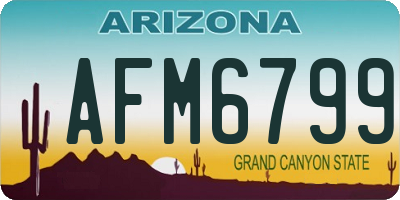 AZ license plate AFM6799