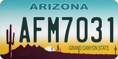 AZ license plate AFM7031