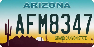 AZ license plate AFM8347