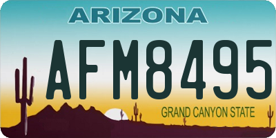 AZ license plate AFM8495