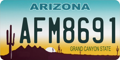 AZ license plate AFM8691