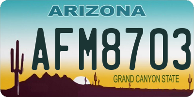 AZ license plate AFM8703