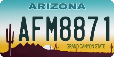 AZ license plate AFM8871