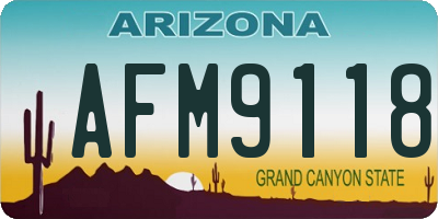 AZ license plate AFM9118
