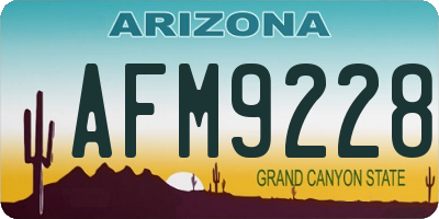 AZ license plate AFM9228