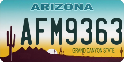 AZ license plate AFM9363