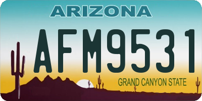 AZ license plate AFM9531
