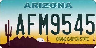 AZ license plate AFM9545