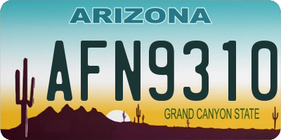 AZ license plate AFN9310