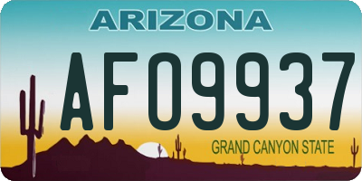 AZ license plate AFO9937
